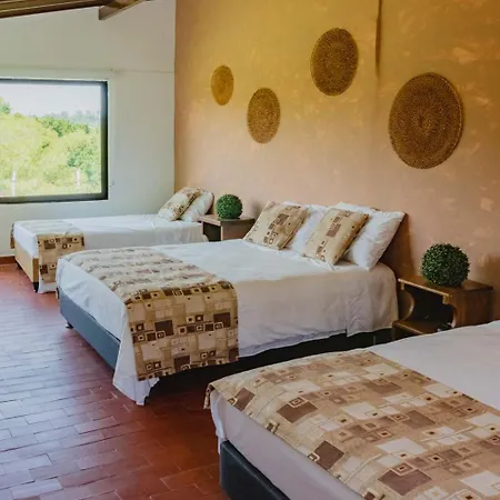 Hotel Vivero Arte Vivo I Quindio I Eje Cafetero La Tebaida Exterior photo