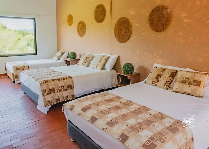 Hotel Vivero Arte Vivo I Quindio I Eje Cafetero