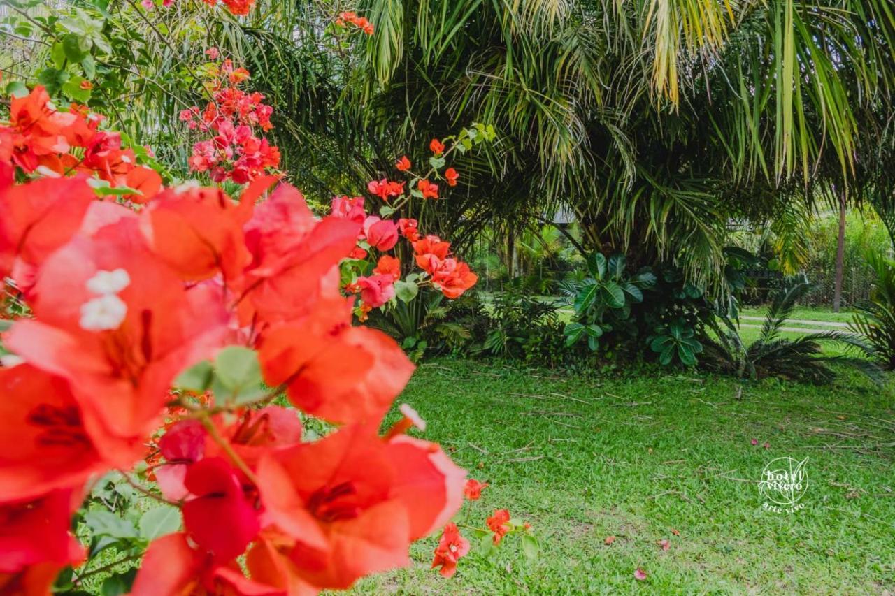 Vivero Arte Vivo I Quindio I Eje Cafetero * La Tebaida