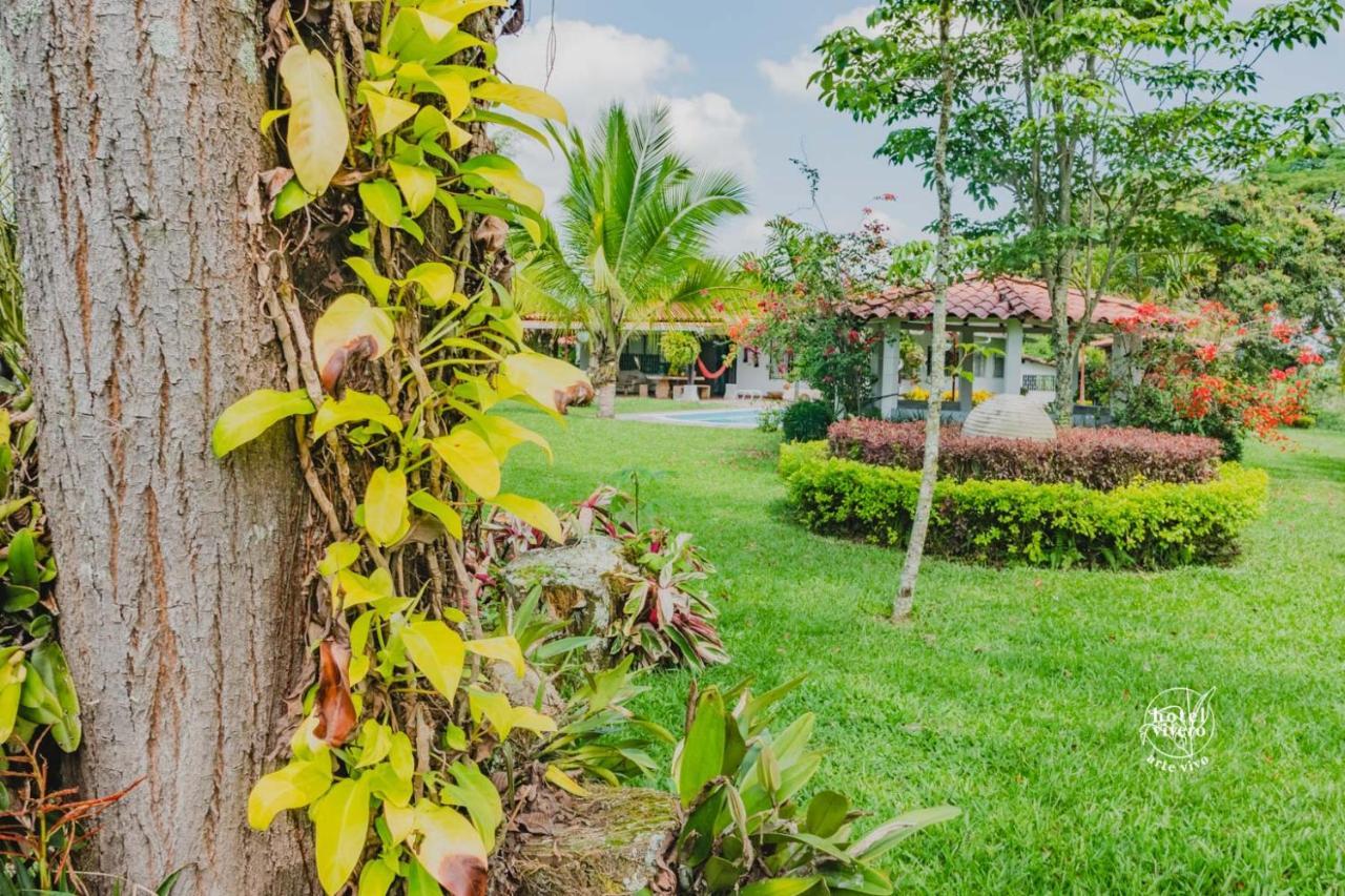 Vivero Arte Vivo I Quindio I Eje Cafetero La Tebaida