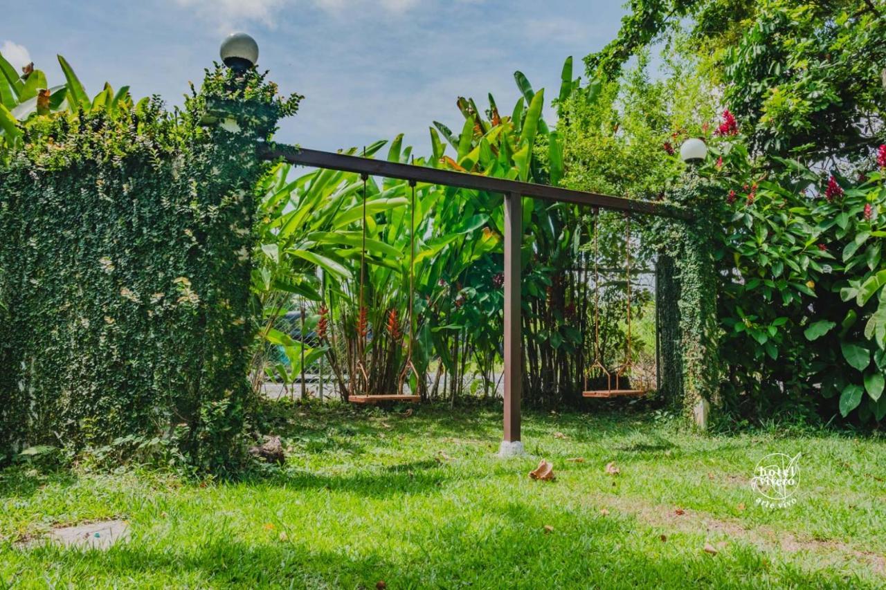 Vivero Arte Vivo I Quindio I Eje Cafetero *